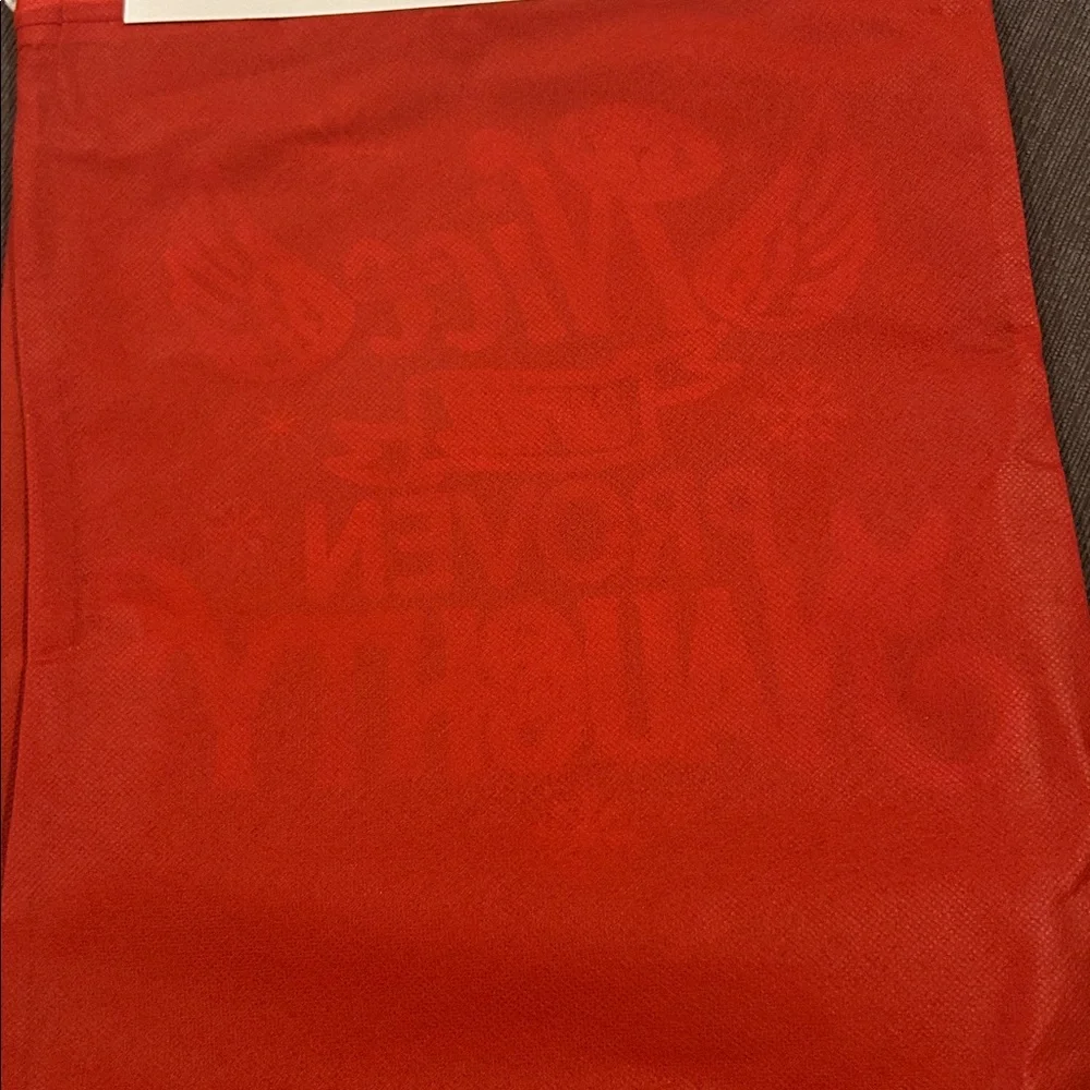Christmas Gift Sacks 2 pack 15“x11“ NWT